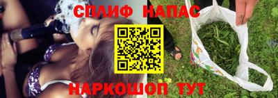гашик Можга