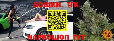 гашик Можга