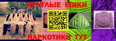 гашик Можга