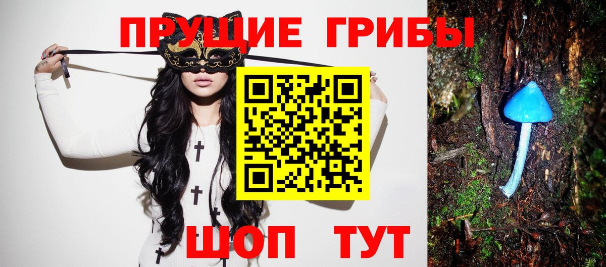 Галлюциногенные грибы Cubensis  Вход с VPN  Чебоксары 